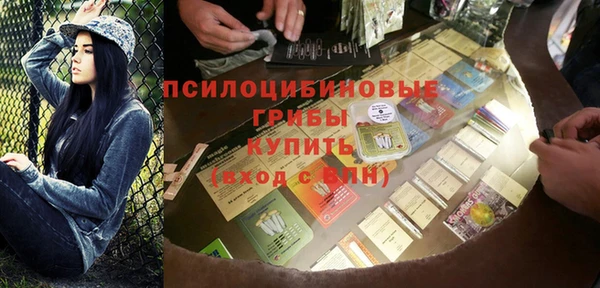 сатива Абдулино