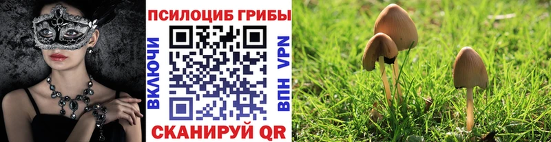 Псилоцибиновые грибы MAGIC MUSHROOMS  купить   Адыгейск 